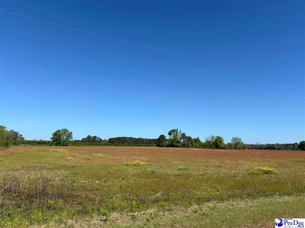 Tbd Hemingway Hwy, Hemingway, SC 29554