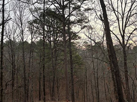 5th image of S 4696th Rd