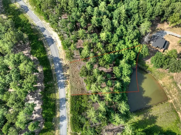 190 Split Creek Rd, Morganton, GA 30560