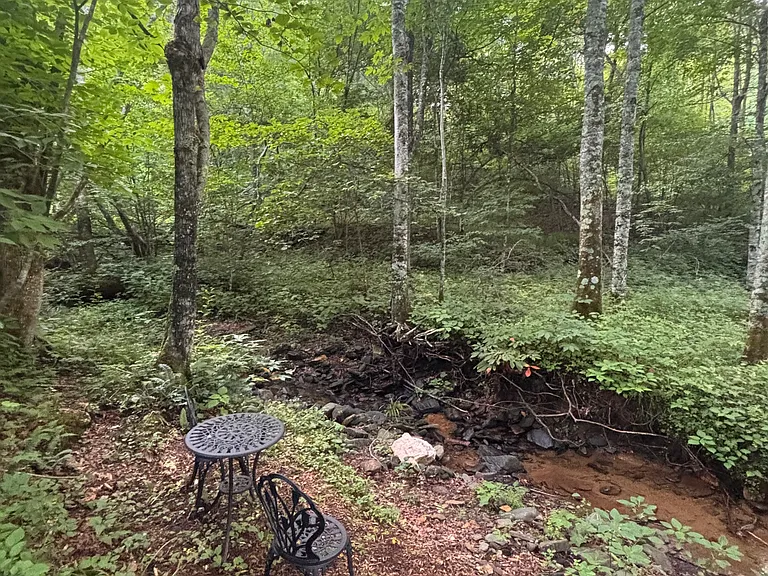 Creekside View