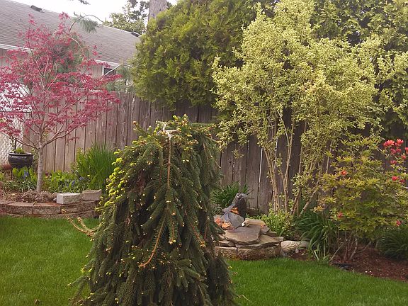 Side Yard