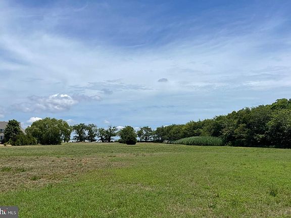 5th image of 10277 Deal Island Rd