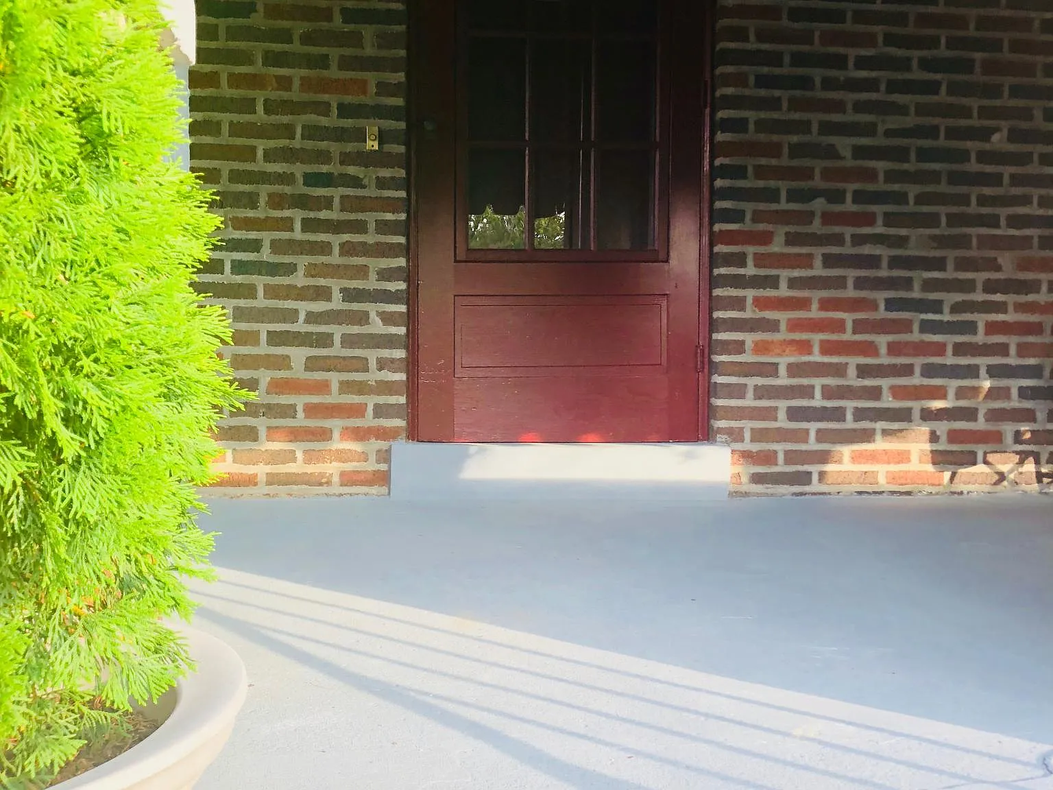 233 Sieaforth Ave — Photo 3