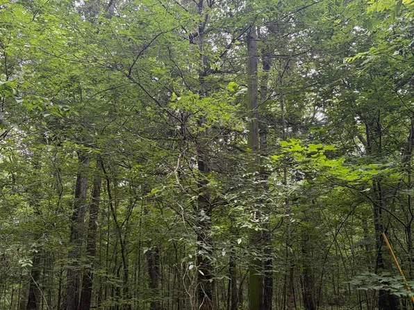 Walter Hill Rd, New Hope, AL 35760