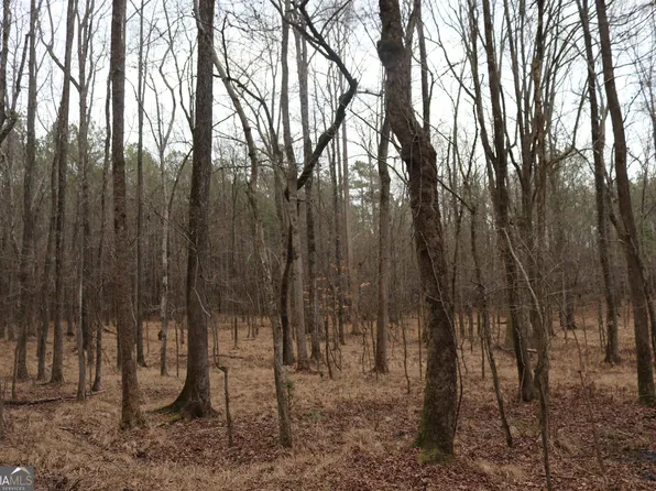 0 Antioch Church Rd, Madison, GA 30650