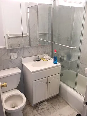 Rented by Manhattan Apartment Organization | media 29