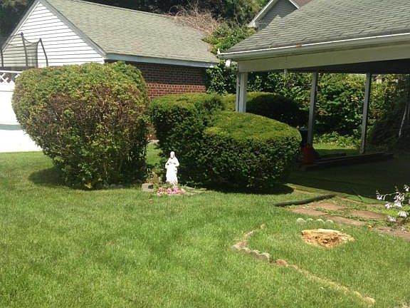 3rd image of 35 Bryson Ave