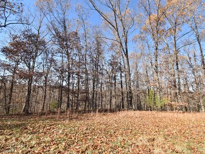 Lot 71 Jeffery Lane, Cape Fair, MO, 65624