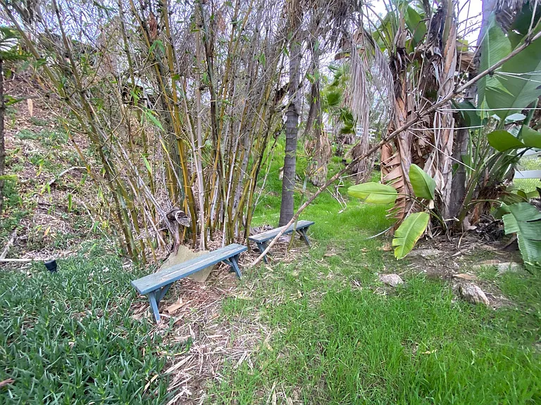 3012 Colina Verde Ln — Photo 21