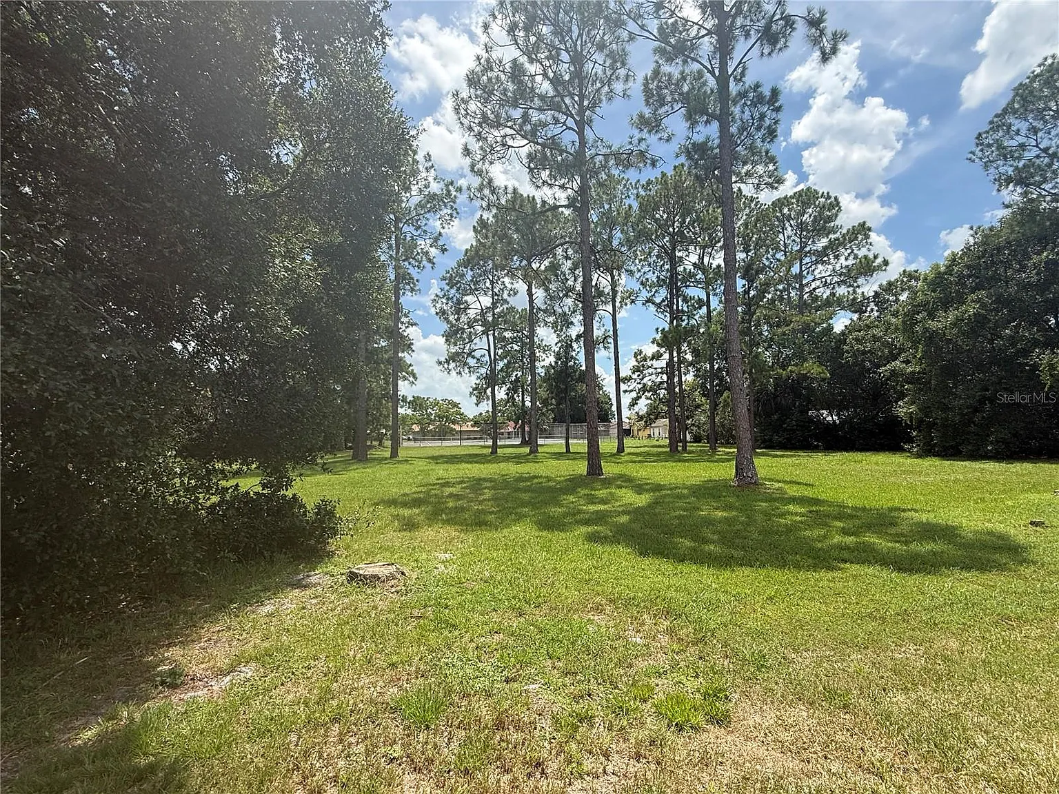 3 bed, 1554 sqft, $2,200 — Photo 3