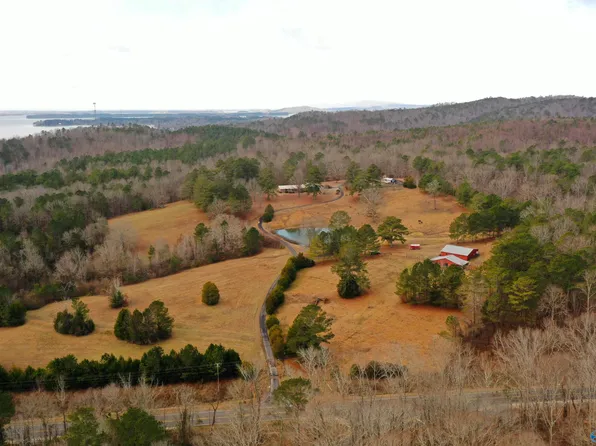 721 County Road 75, Cedar Bluff, AL 35959