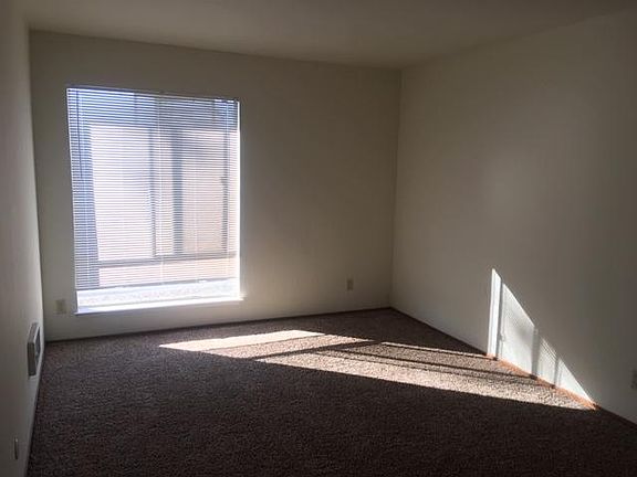 South facing windows get lots of sun