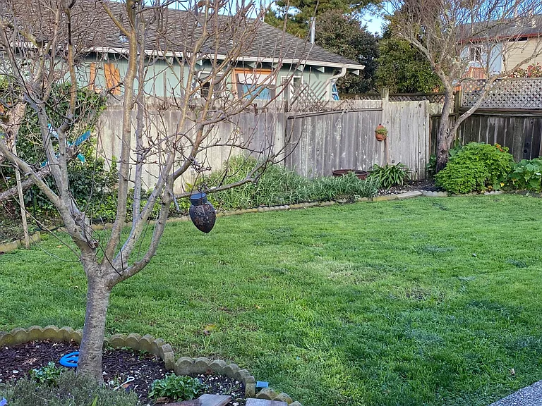 Solar lights in the garden