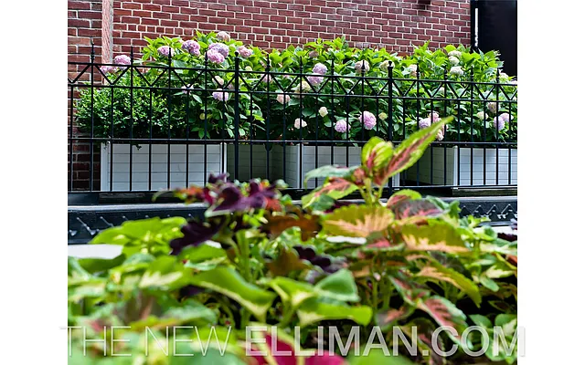 Sold by Douglas Elliman | media 19