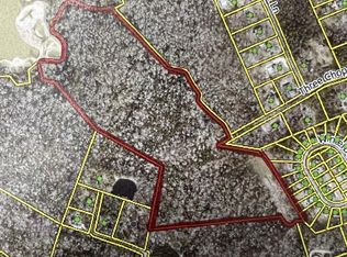 0 Morgan Dr, Lexington, SC 29072