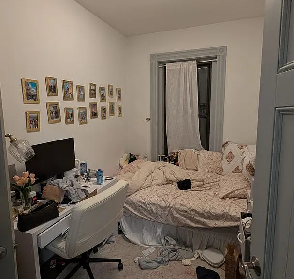 11 Belvidere St #2C — Photo 16