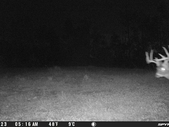 3rd image of 0 McNabb Creek Rd