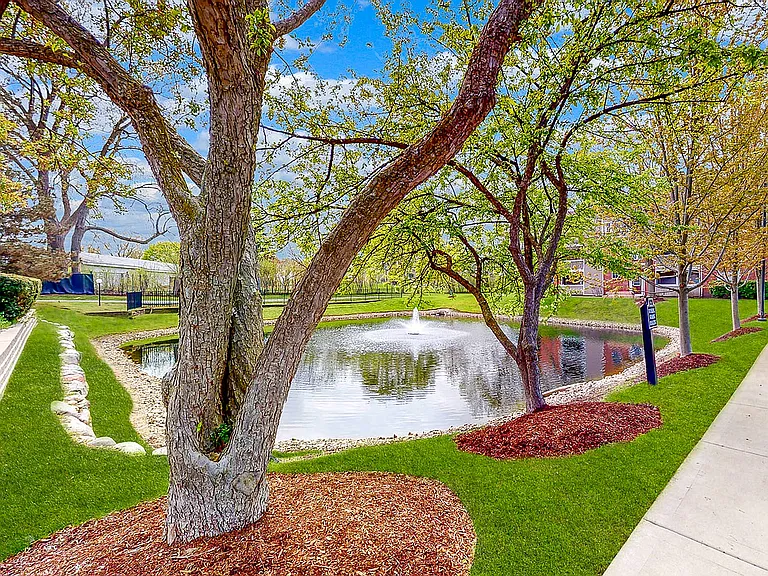 Pond