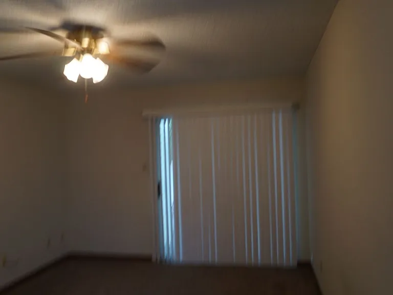 2406 Bemiss Rd #9 — Photo 18