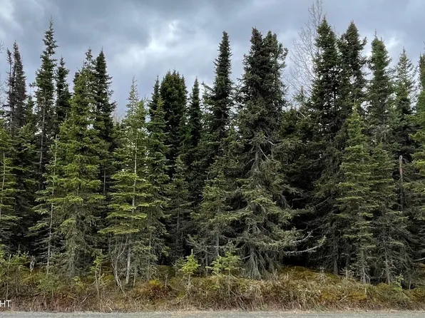 675 E Redoubt Ave, Soldotna, AK 99669