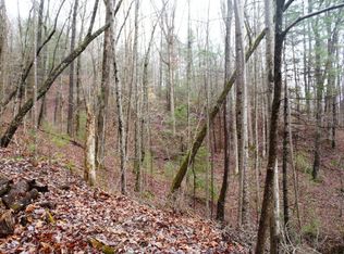 0 Shuler Lake Rd, Robbinsville, NC 28771