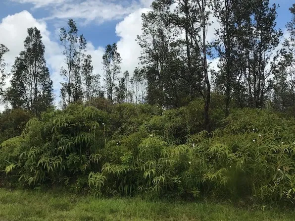 Hibiscus St Lot 7411, Mountain View, HI 96771