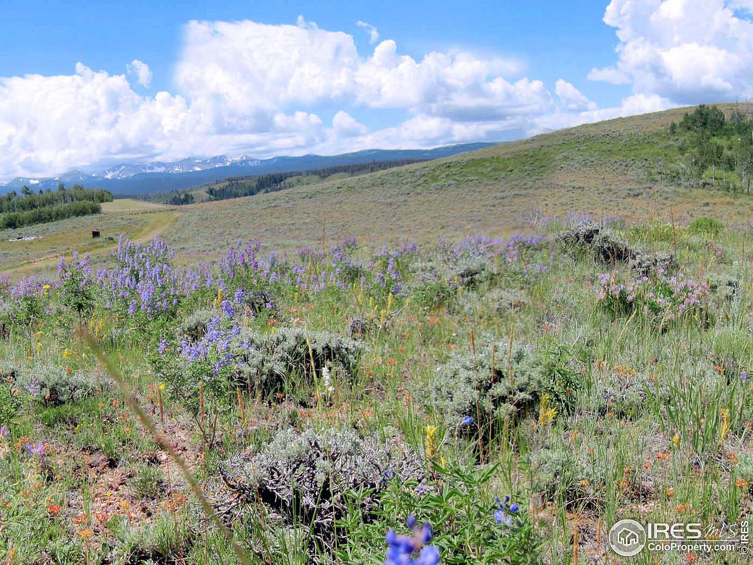 67 Shipman Ct, Jelm, WY 82063 Zillow