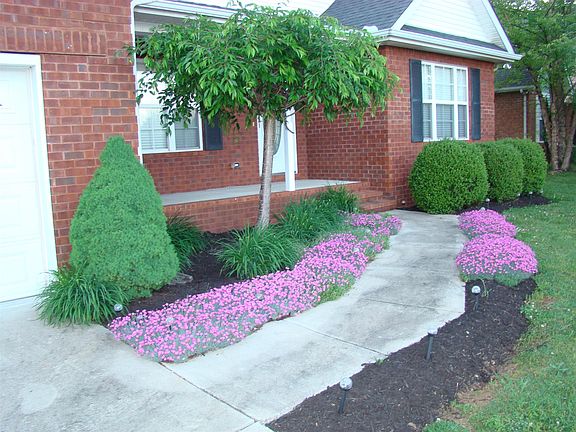 3rd image of 216 Brooklyn Cir