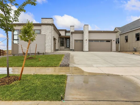 1613 Flourish Ct, Windsor, CO 80550