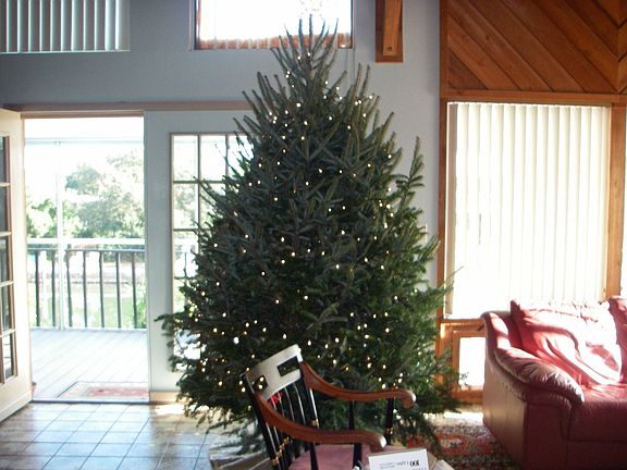 xmas