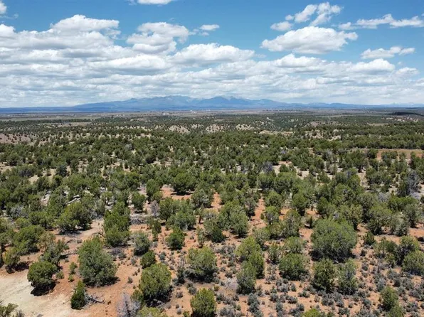 4001 CR 136, Hesperus, CO 81122