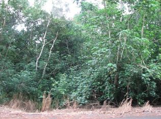 14-3523 Ginger Rd LOT 101, Pahoa, HI 96778