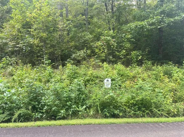 LOT 17 Staurolite Mountain Way, Blue Ridge, GA 30513