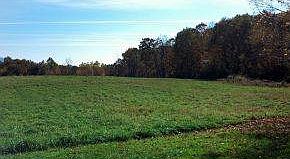 Pasture