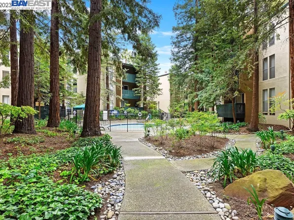 155 Sharene Ln APT 212, Walnut Creek, CA 94596