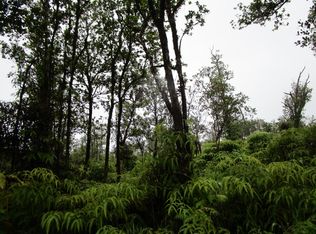 Ala Naulani Rd LOT 43, Volcano, HI 96785