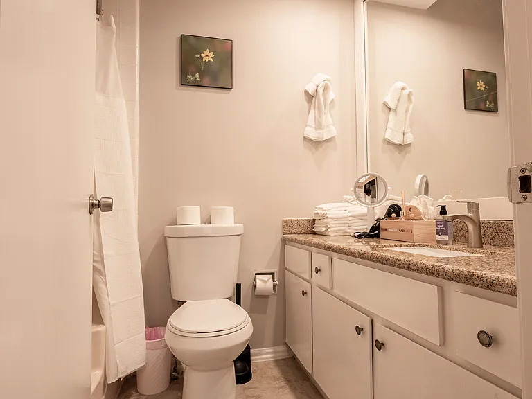 2211 S Braeswood Blvd #21F — Photo 11
