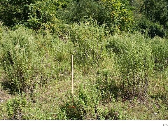 5th image of 9 Westwood Dr