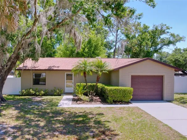 3818 Meridean Pl, Land O Lakes, FL 34639