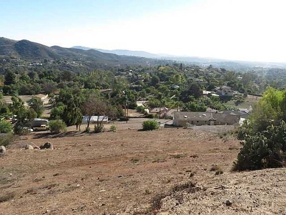 4th image of Palm Hill Drive