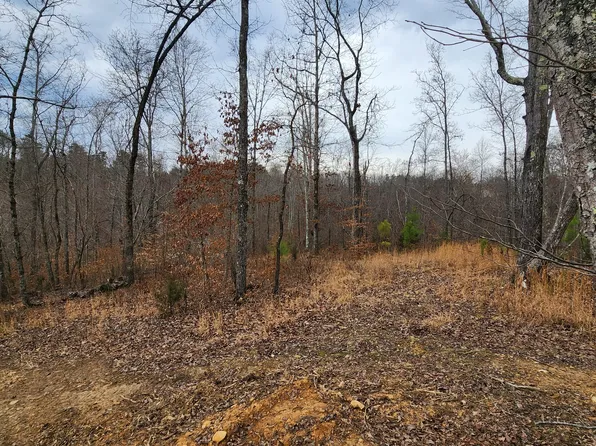 584 Back Bone Rd Lot 1 & 2, Sparta, TN 38583