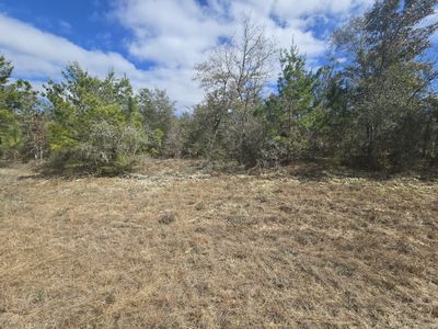 Cranston Ct, Chipley, FL, 32428
