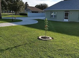 36708 S Fish Camp Rd, Grand Island, FL 32735