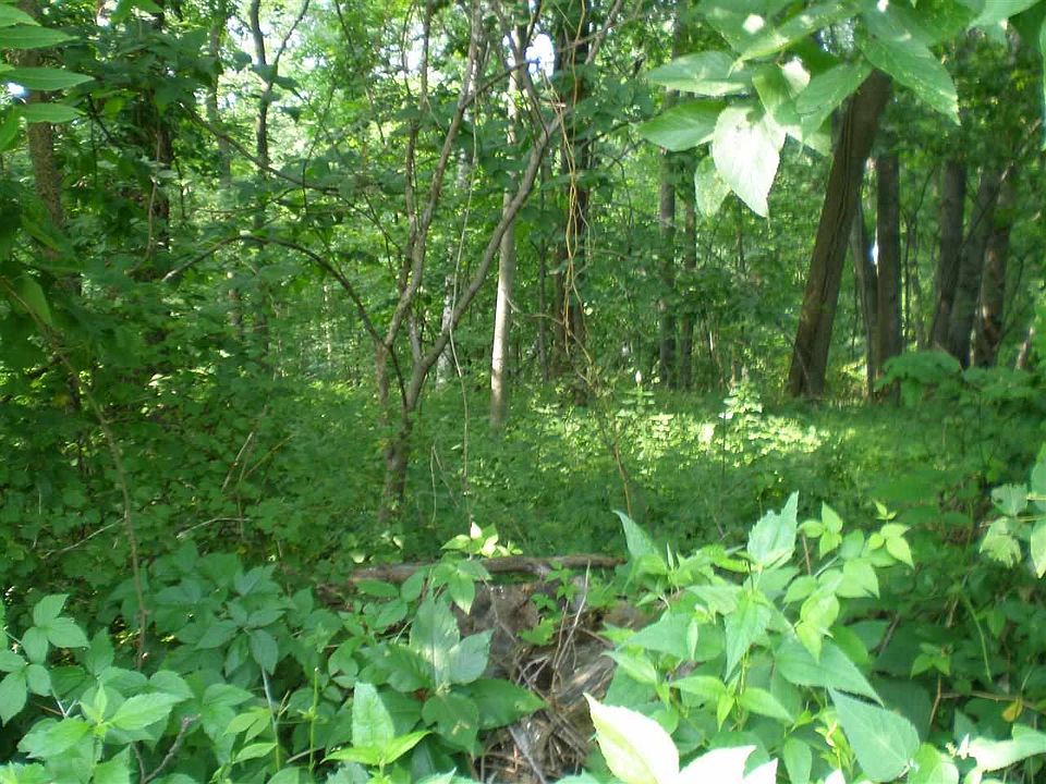 2nd image of LOT 70 Hawk Point Rd
