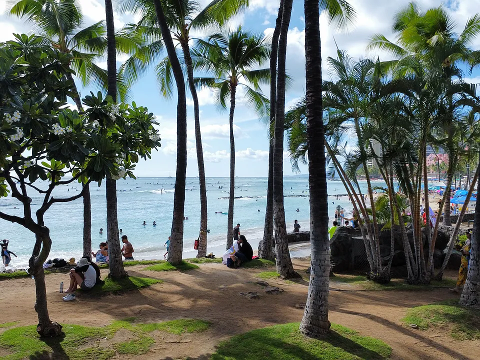 15-20 minutes walk to Waikiki beach or DH market place.