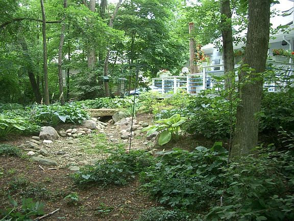 Landscaped back yard
