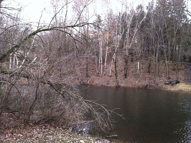 1st image of Hines Lakeview Dr