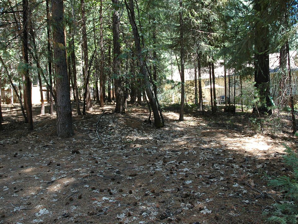 1st image of 000 Del Oro
