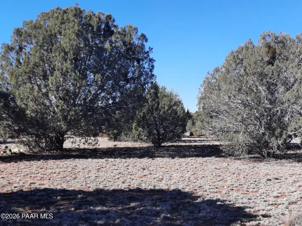 33175 Cowboy Clint Way, Seligman, AZ 86337