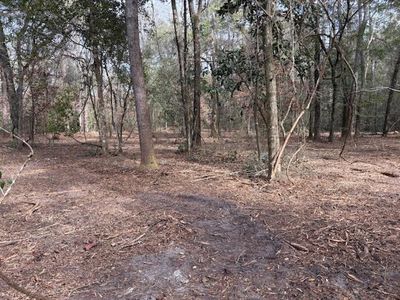 Xx Tharpe Ln, Crawfordville, FL, 32327